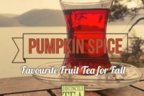 fall tea - pumpkin spice favourite fruit tea
