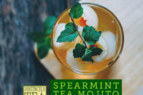 Spearmint TEA Mojito recipe from distinctly tea
