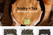 good quality tea plus a scoby for kombucha tea recipe