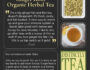 1850-Ginger_Root_Organic_Herbal_Tea_Distinctly_Tea_Inc